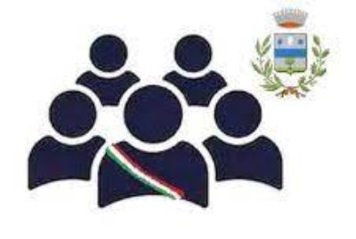 consiglio comunale tarzo