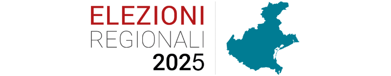 elezioni cover